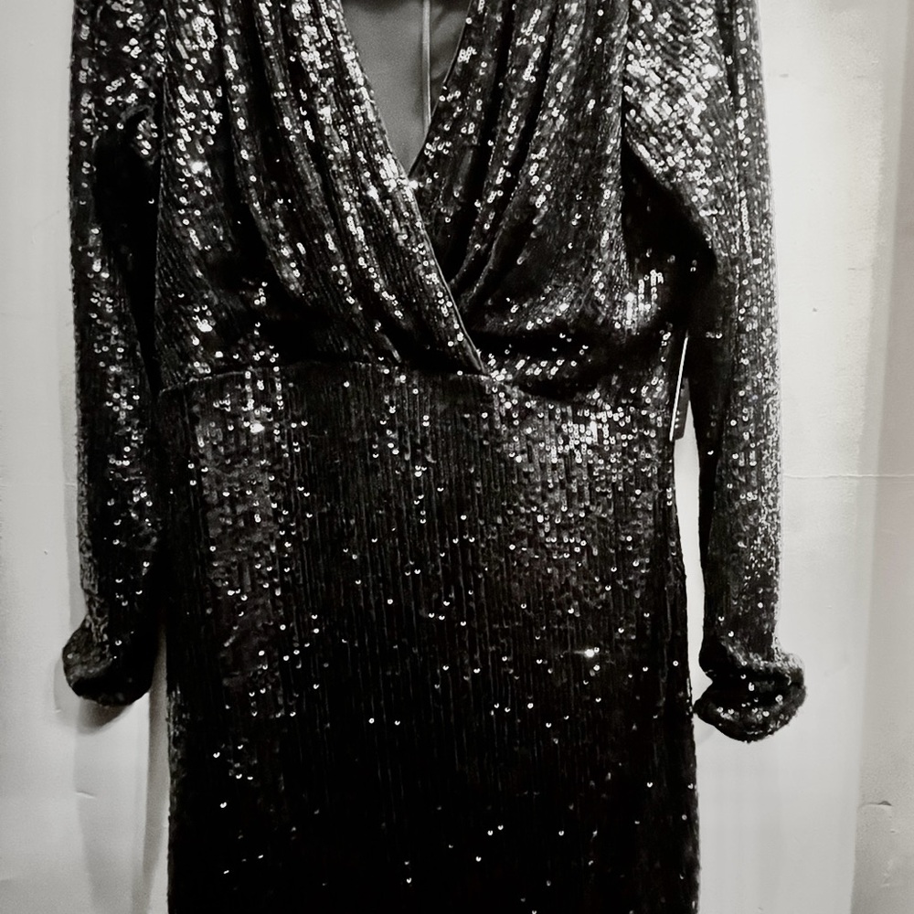 Express Black Sequin Long Sleeve Dress